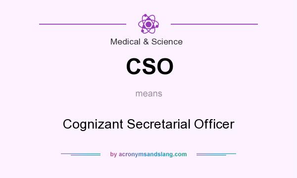 What does CSO mean? It stands for Cognizant Secretarial Officer