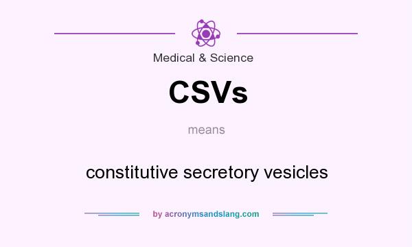 What does CSVs mean? It stands for constitutive secretory vesicles