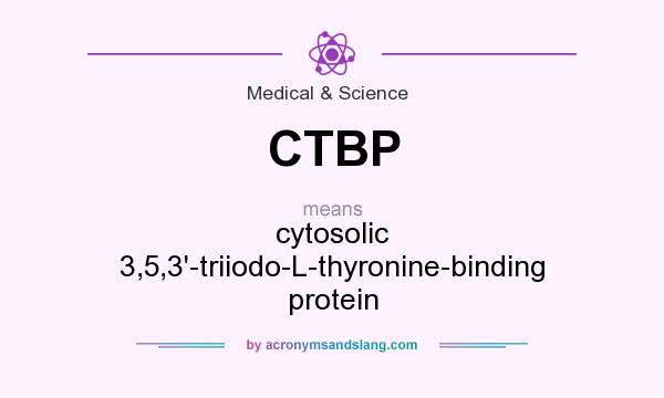 What does CTBP mean? It stands for cytosolic 3,5,3`-triiodo-L-thyronine-binding protein
