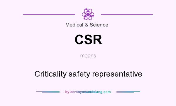 What does CSR mean? It stands for Criticality safety representative