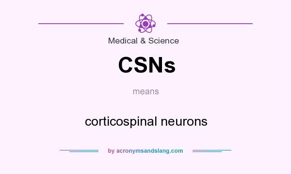 What does CSNs mean? It stands for corticospinal neurons
