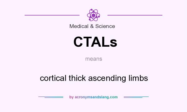 What does CTALs mean? It stands for cortical thick ascending limbs