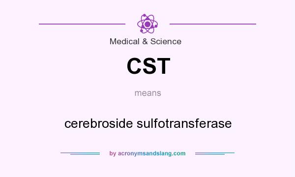 What does CST mean? It stands for cerebroside sulfotransferase