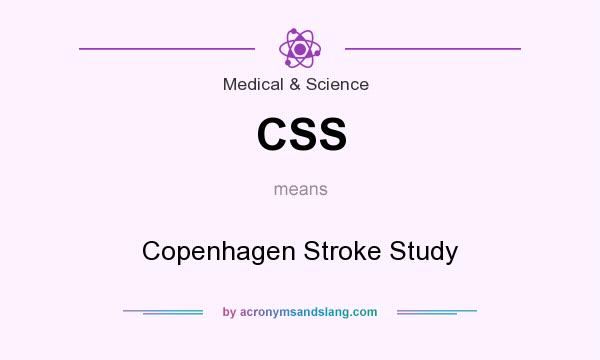 What does CSS mean? It stands for Copenhagen Stroke Study