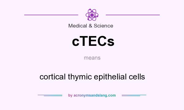 What does cTECs mean? It stands for cortical thymic epithelial cells