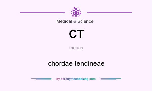 What does CT mean? It stands for chordae tendineae