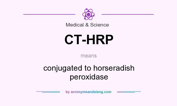 What does CT-HRP mean? It stands for conjugated to horseradish peroxidase