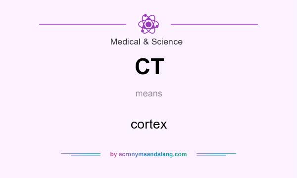What does CT mean? It stands for cortex