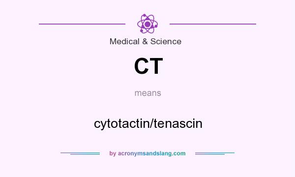 What does CT mean? It stands for cytotactin/tenascin