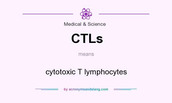 What does CTLs mean? It stands for cytotoxic T lymphocytes