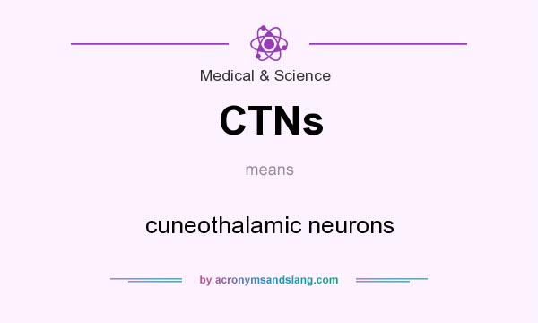 What does CTNs mean? It stands for cuneothalamic neurons