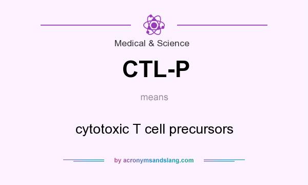 What does CTL-P mean? It stands for cytotoxic T cell precursors