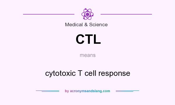 What does CTL mean? It stands for cytotoxic T cell response