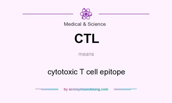 What does CTL mean? It stands for cytotoxic T cell epitope