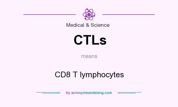 What does CTLs mean? It stands for CD8 T lymphocytes