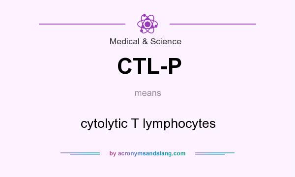 What does CTL-P mean? It stands for cytolytic T lymphocytes