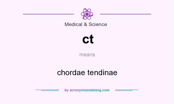 What does ct mean? It stands for chordae tendinae