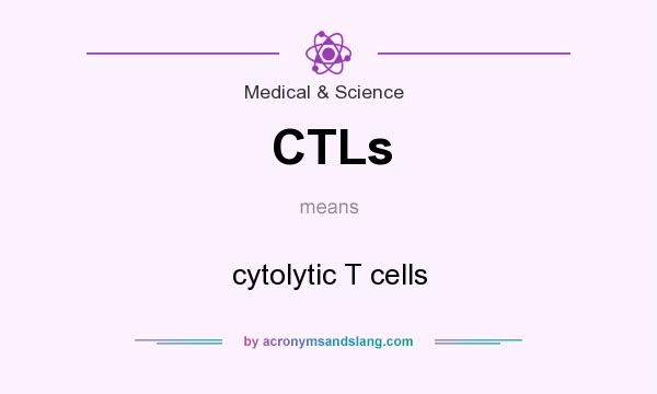 What does CTLs mean? It stands for cytolytic T cells