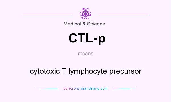 What does CTL-p mean? It stands for cytotoxic T lymphocyte precursor