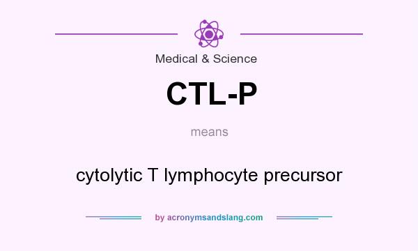 What does CTL-P mean? It stands for cytolytic T lymphocyte precursor