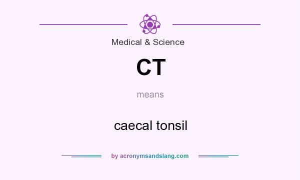 What does CT mean? It stands for caecal tonsil