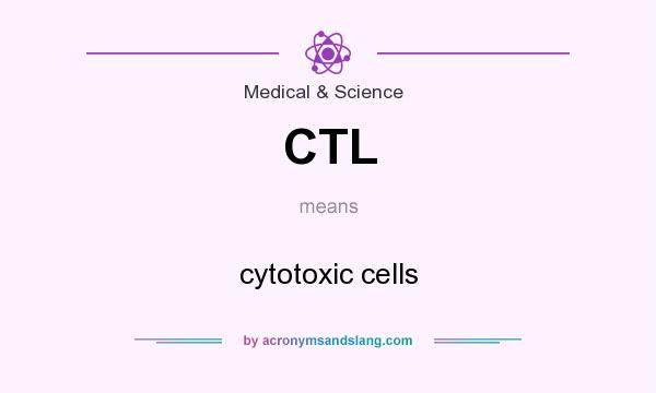 What does CTL mean? It stands for cytotoxic cells