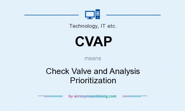 What does CVAP mean? It stands for Check Valve and Analysis Prioritization