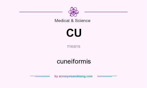 What does CU mean? It stands for cuneiformis