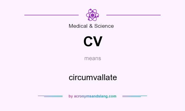 What does CV mean? It stands for circumvallate