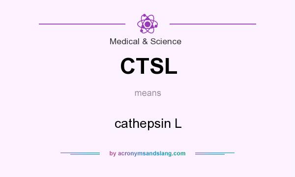 What does CTSL mean? It stands for cathepsin L