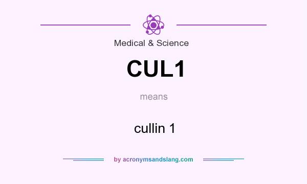 What does CUL1 mean? It stands for cullin 1