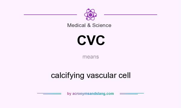 What does CVC mean? It stands for calcifying vascular cell