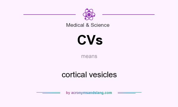 What does CVs mean? It stands for cortical vesicles