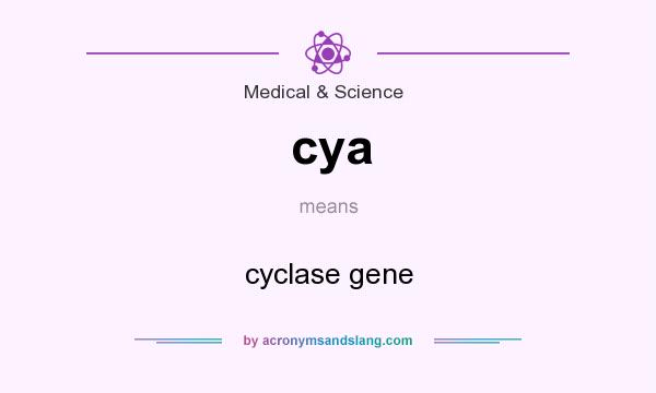 What does cya mean? It stands for cyclase gene