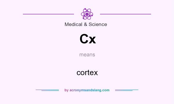 What does Cx mean? It stands for cortex