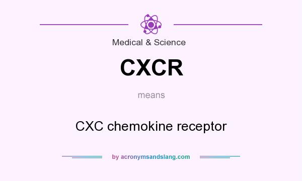 What does CXCR mean? It stands for CXC chemokine receptor