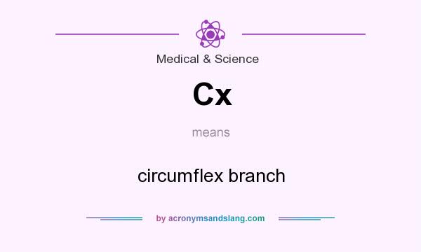 What does Cx mean? It stands for circumflex branch