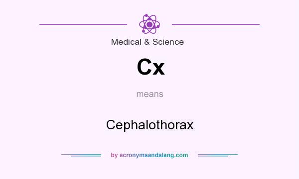 What does Cx mean? It stands for Cephalothorax