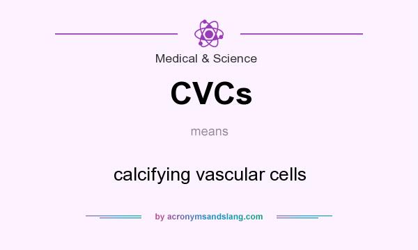 What does CVCs mean? It stands for calcifying vascular cells