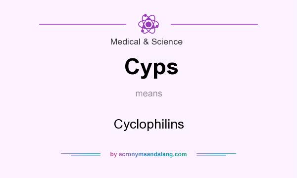 What does Cyps mean? It stands for Cyclophilins