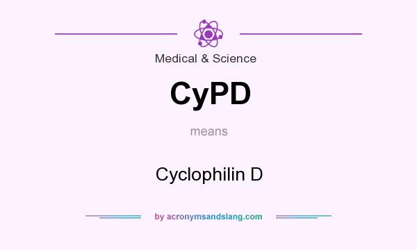What does CyPD mean? It stands for Cyclophilin D