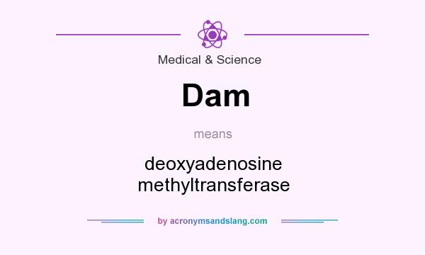 What does Dam mean? It stands for deoxyadenosine methyltransferase