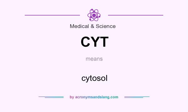What does CYT mean? It stands for cytosol