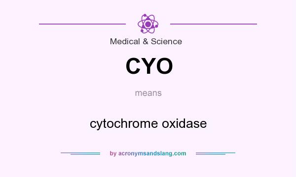 What does CYO mean? It stands for cytochrome oxidase