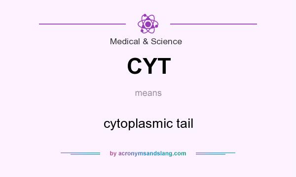 What does CYT mean? It stands for cytoplasmic tail