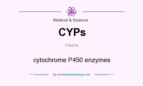 What does CYPs mean? It stands for cytochrome P450 enzymes