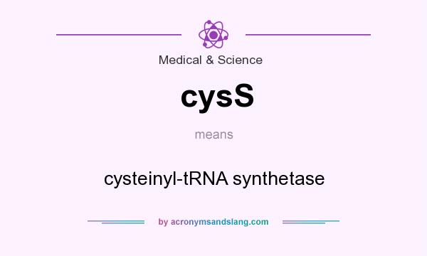 What does cysS mean? It stands for cysteinyl-tRNA synthetase