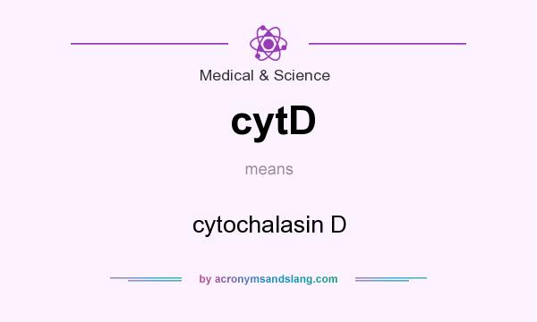 What does cytD mean? It stands for cytochalasin D