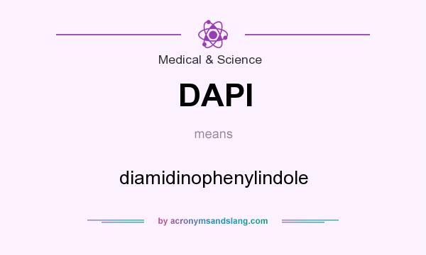 What does DAPI mean? It stands for diamidinophenylindole