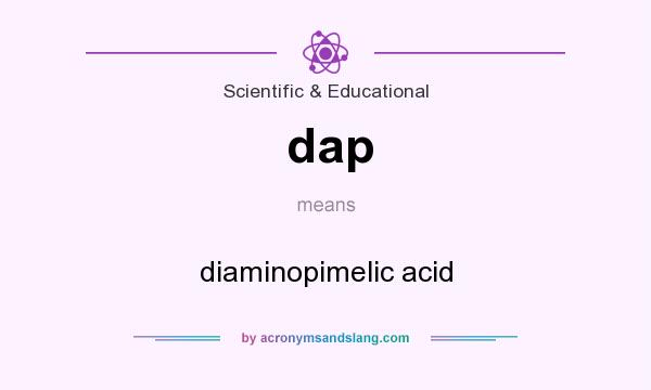 What does dap mean? It stands for diaminopimelic acid